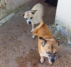 Linda e hijo