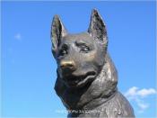 Kostik: El perro de los novios